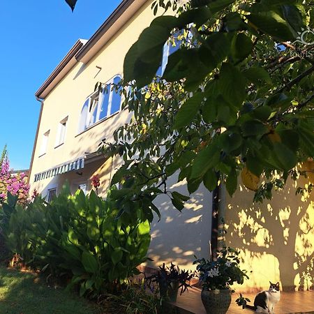 Murine Bozica House With Apartments מראה חיצוני תמונה