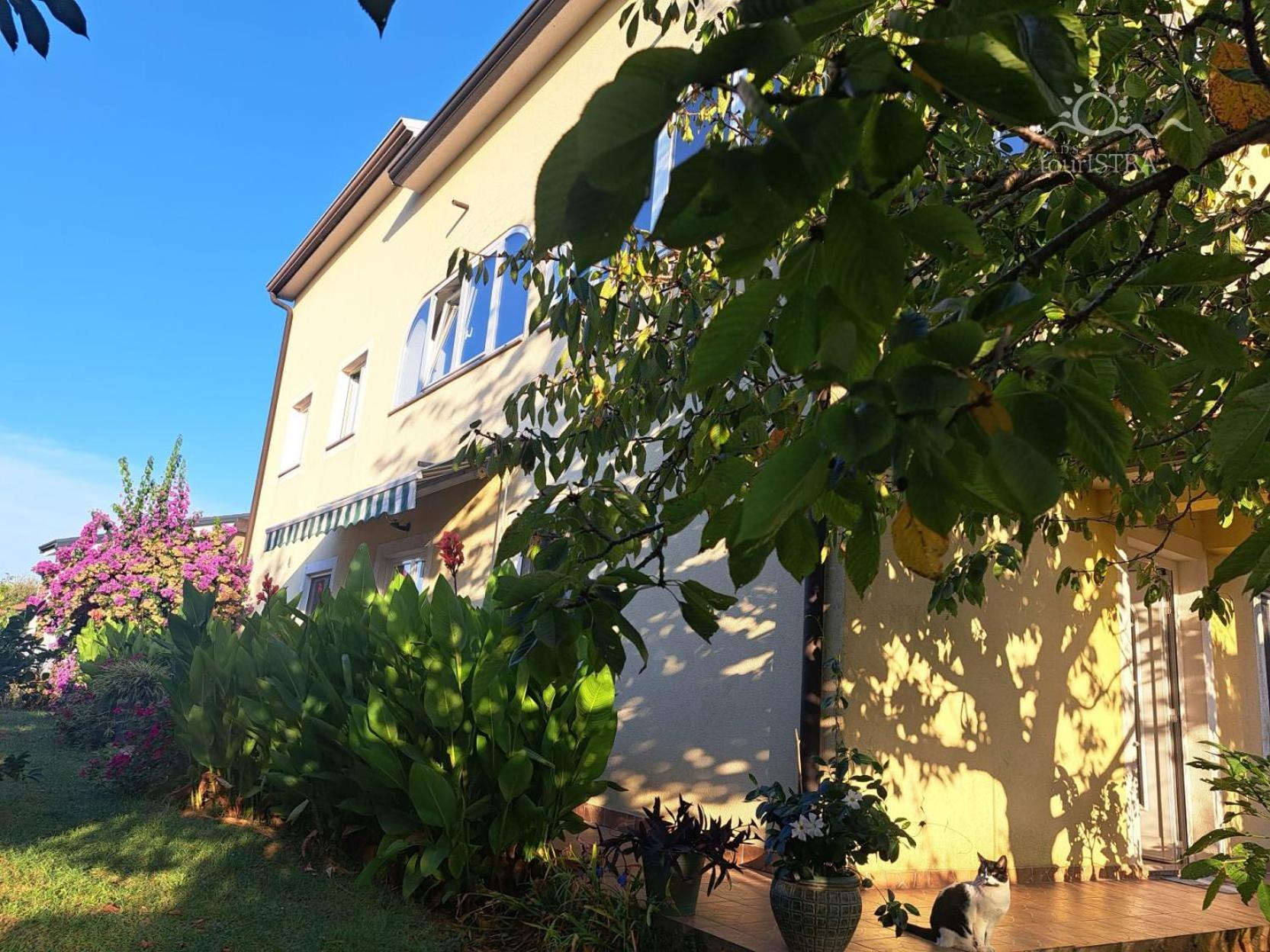 Murine Bozica House With Apartments מראה חיצוני תמונה